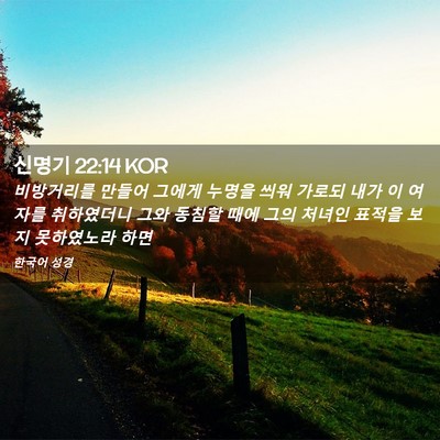 Picture 02 - 신명기 22:14 KOR - 비방거리를 만들어 그에게 누명을 - Bible Verse Picture