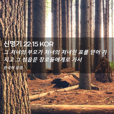 Picture 02 - 신명기 22:15 KOR - 그 처녀의 부모가 처녀의 처녀인 - Bible Verse Picture