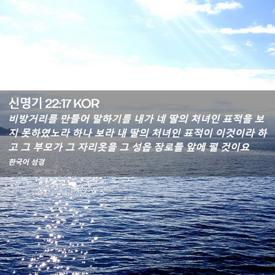 Picture 02 - 신명기 22:17 KOR - 비방거리를 만들어 말하기를 내가 네 - Bible Verse Picture