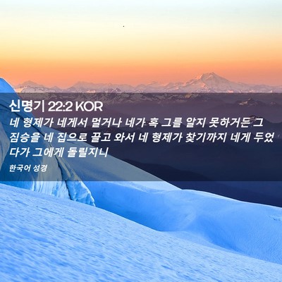 Picture 02 - 신명기 22:2 KOR - 네 형제가 네게서 멀거나 네가 혹 - Bible Verse Picture