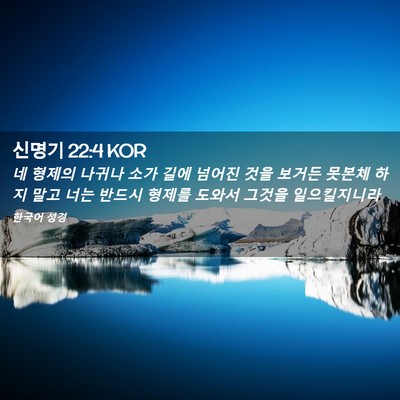 Picture 02 - 신명기 22:4 KOR - 네 형제의 나귀나 소가 길에 넘어진 - Bible Verse Picture
