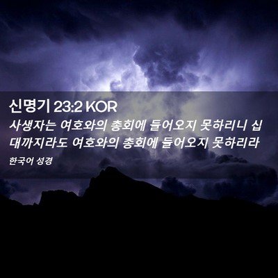 Picture 02 - 신명기 23:2 KOR - 사생자는 여호와의 총회에 들어오지 - Bible Verse Picture