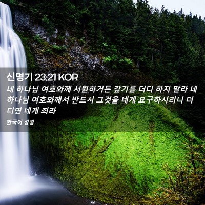 Picture 02 - 신명기 23:21 KOR - 네 하나님 여호와께 서원하거든 - Bible Verse Picture