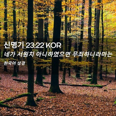 Picture 02 - 신명기 23:22 KOR - 네가 서원치 아니하였으면 - Bible Verse Picture