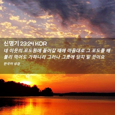 Picture 02 - 신명기 23:24 KOR - 네 이웃의 포도원에 들어갈 때에 - Bible Verse Picture