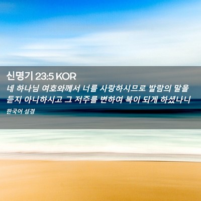 Picture 02 - 신명기 23:5 KOR - 네 하나님 여호와께서 너를 - Bible Verse Picture