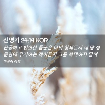 Picture 02 - 신명기 24:14 KOR - 곤궁하고 빈한한 품군은 너의 - Bible Verse Picture