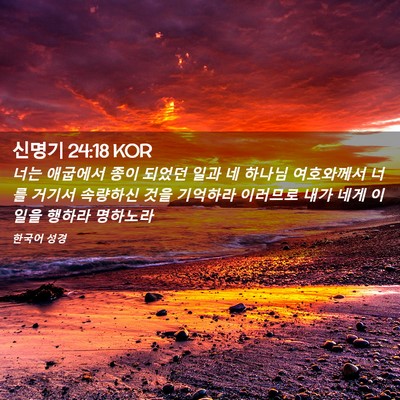 Picture 02 - 신명기 24:18 KOR - 너는 애굽에서 종이 되었던 일과 네 - Bible Verse Picture