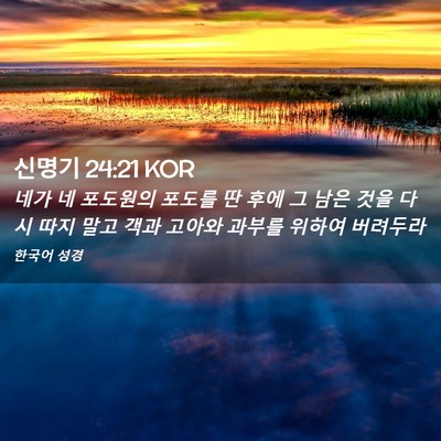 Picture 02 - 신명기 24:21 KOR - 네가 네 포도원의 포도를 딴 후에 그 - Bible Verse Picture