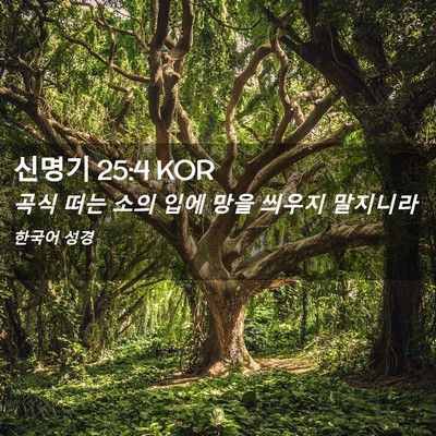 Picture 02 - 신명기 25:4 KOR - 곡식 떠는 소의 입에 망을 씌우지 - Bible Verse Picture