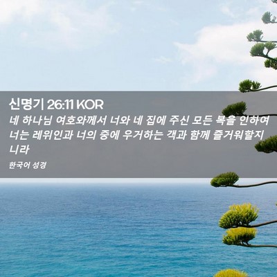 Picture 02 - 신명기 26:11 KOR - 네 하나님 여호와께서 너와 네 집에 - Bible Verse Picture