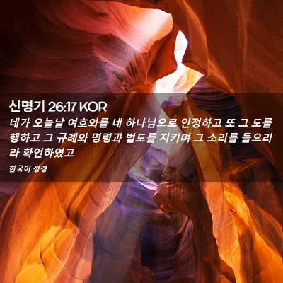 Picture 02 - 신명기 26:17 KOR - 네가 오늘날 여호와를 네 하나님으로 - Bible Verse Picture