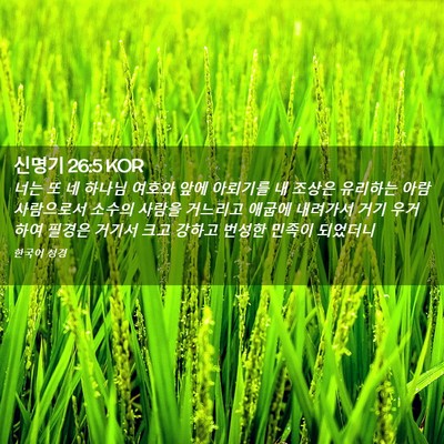 Picture 02 - 신명기 26:5 KOR - 너는 또 네 하나님 여호와 앞에 - Bible Verse Picture