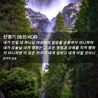 Picture 02 - 신명기 28:15 KOR - 네가 만일 네 하나님 여호와의 - Bible Verse Picture