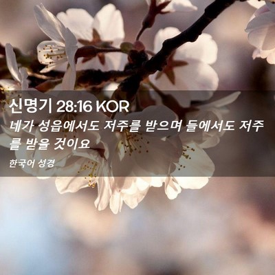 Picture 02 - 신명기 28:16 KOR - 네가 성읍에서도 저주를 받으며 - Bible Verse Picture