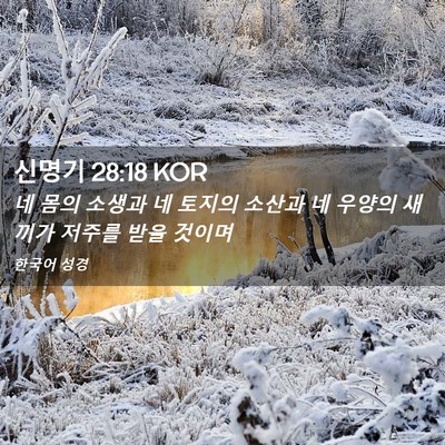Picture 02 - 신명기 28:18 KOR - 네 몸의 소생과 네 토지의 소산과 네 - Bible Verse Picture