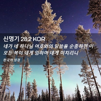 Picture 02 - 신명기 28:2 KOR - 네가 네 하나님 여호와의 말씀을 - Bible Verse Picture