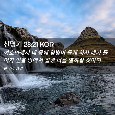 Picture 02 - 신명기 28:21 KOR - 여호와께서 네 몸에 염병이 들게 - Bible Verse Picture