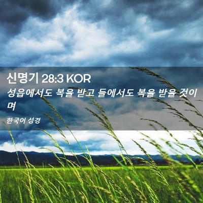 Picture 02 - 신명기 28:3 KOR - 성읍에서도 복을 받고 들에서도 복을 - Bible Verse Picture