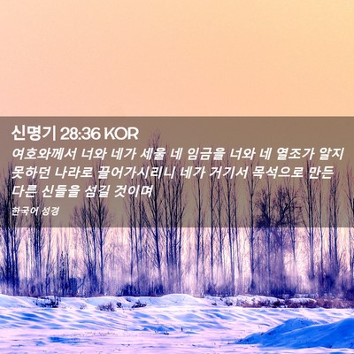 Picture 02 - 신명기 28:36 KOR - 여호와께서 너와 네가 세울 네 - Bible Verse Picture