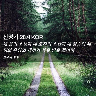 Picture 02 - 신명기 28:4 KOR - 네 몸의 소생과 네 토지의 소산과 네 - Bible Verse Picture