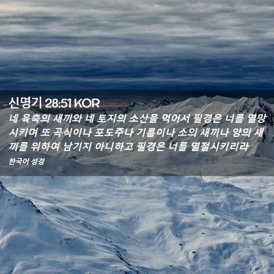 Picture 02 - 신명기 28:51 KOR - 네 육축의 새끼와 네 토지의 소산을 - Bible Verse Picture