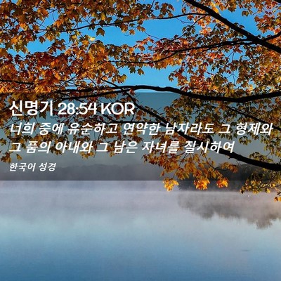 Picture 02 - 신명기 28:54 KOR - 너희 중에 유순하고 연약한 남자라도 - Bible Verse Picture