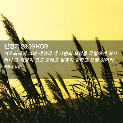 Picture 02 - 신명기 28:59 KOR - 여호와께서 너의 재앙과 네 자손의 - Bible Verse Picture