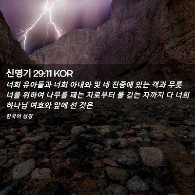 Picture 02 - 신명기 29:11 KOR - 너희 유아들과 너희 아내와 및 네 - Bible Verse Picture