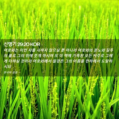 Picture 02 - 신명기 29:20 KOR - 여호와는 이런 자를 사하지 않으실 - Bible Verse Picture