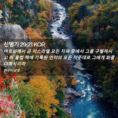 Picture 02 - 신명기 29:21 KOR - 여호와께서 곧 이스라엘 모든 지파 - Bible Verse Picture
