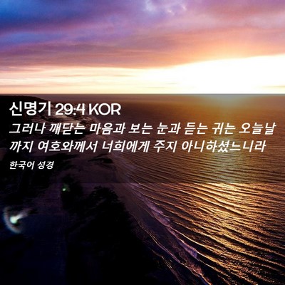 Picture 02 - 신명기 29:4 KOR - 그러나 깨닫는 마음과 보는 눈과 - Bible Verse Picture