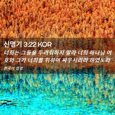 Picture 02 - 신명기 3:22 KOR - 너희는 그들을 두려워하지 말라 너희 - Bible Verse Picture
