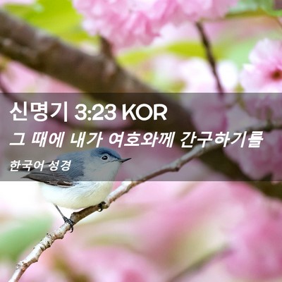 Picture 02 - 신명기 3:23 KOR - 그 때에 내가 여호와께 - Bible Verse Picture