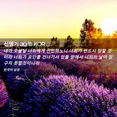 Picture 02 - 신명기 30:18 KOR - 내가 오늘날 너희에게 선언하노니 - Bible Verse Picture