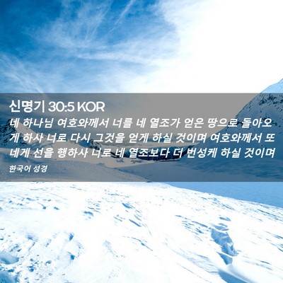 Picture 02 - 신명기 30:5 KOR - 네 하나님 여호와께서 너를 네 - Bible Verse Picture