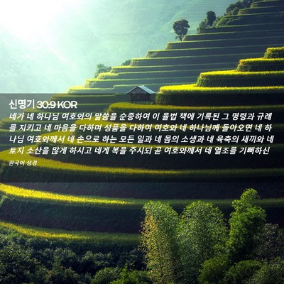 Picture 02 - 신명기 30:9 KOR - 네가 네 하나님 여호와의 말씀을 - Bible Verse Picture