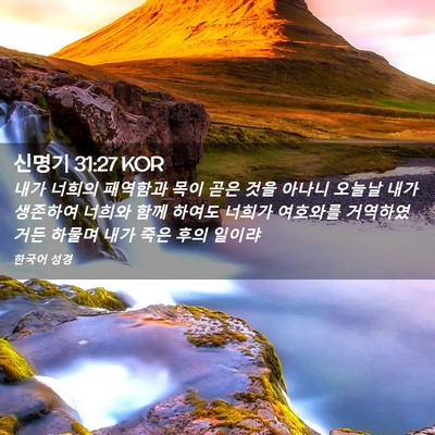 Picture 02 - 신명기 31:27 KOR - 내가 너희의 패역함과 목이 곧은 - Bible Verse Picture