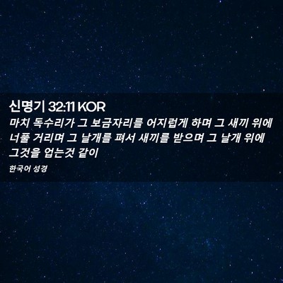 Picture 02 - 신명기 32:11 KOR - 마치 독수리가 그 보금자리를 - Bible Verse Picture
