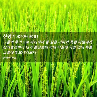 Picture 02 - 신명기 32:24 KOR - 그들이 주리므로 파리하며 불 같은 - Bible Verse Picture