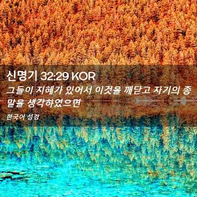 Picture 02 - 신명기 32:29 KOR - 그들이 지혜가 있어서 이것을 깨닫고 - Bible Verse Picture