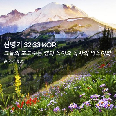 Picture 02 - 신명기 32:33 KOR - 그들의 포도주는 뱀의 독이요 독사의 - Bible Verse Picture