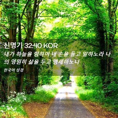 Picture 02 - 신명기 32:40 KOR - 내가 하늘을 향하여 내 손을 들고 - Bible Verse Picture