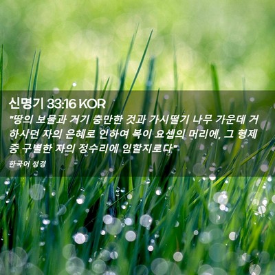 Picture 02 - 신명기 33:16 KOR - 