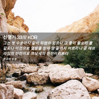 Picture 02 - 신명기 33:17 KOR - 그는 첫 수송아지 같이 위엄이 - Bible Verse Picture