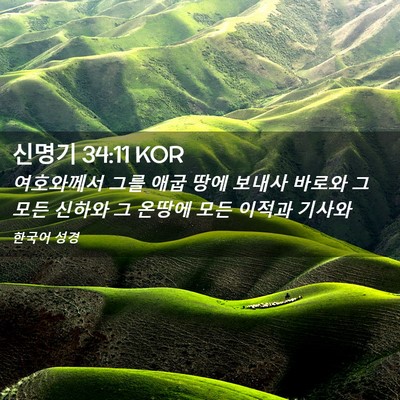 Picture 02 - 신명기 34:11 KOR - 여호와께서 그를 애굽 땅에 보내사 - Bible Verse Picture