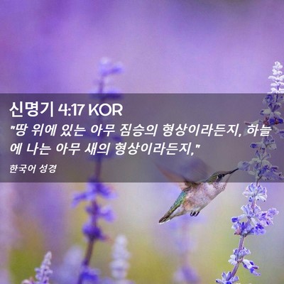 Picture 02 - 신명기 4:17 KOR - 