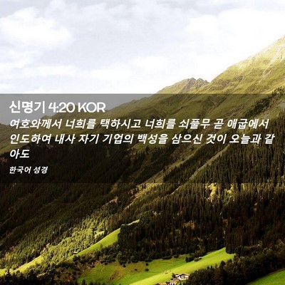Picture 02 - 신명기 4:20 KOR - 여호와께서 너희를 택하시고 너희를 - Bible Verse Picture
