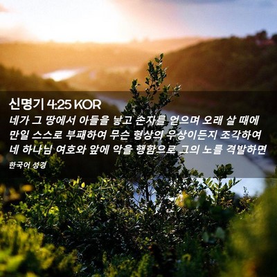 Picture 02 - 신명기 4:25 KOR - 네가 그 땅에서 아들을 낳고 손자를 - Bible Verse Picture