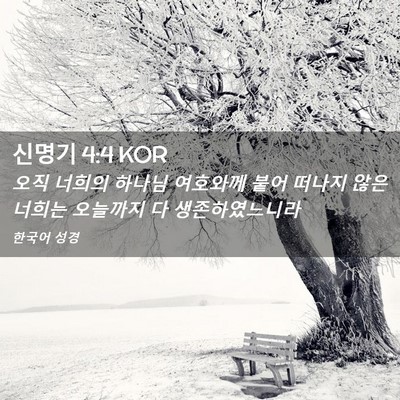 Picture 02 - 신명기 4:4 KOR - 오직 너희의 하나님 여호와께 붙어 - Bible Verse Picture